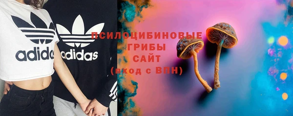 a pvp Арсеньев